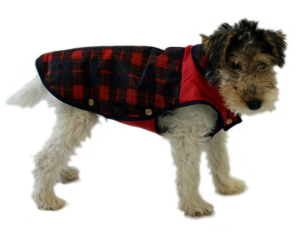 Dog coat with sales chest protection