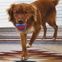 Kong Jaxx Brights Ball Assorted Large