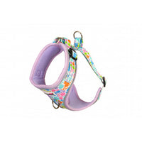 Doodlebone Pastel Paint Splat Adjustable Airmesh Harness 3-5