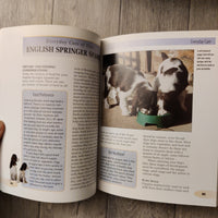 Pet Owner's Guide To: English Springer Spaniel (Hardback)