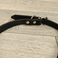 Black Leather Adjustable Dog Collar 16mm X 40-51cm Neck