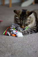 Rosewood Moody Moggy Rainbow Grab Toy