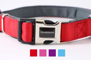 Doodlebone Bold Padded Collar