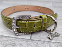 Luxo Green Croc Leather Bone Diamante Dog Collar 2.5cm X 54-65cm